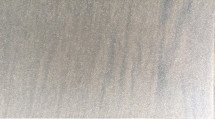 55*30*0.05mm Plafond LEIDENE Lichte Verspreider Plastic Stofvrij DE 011267