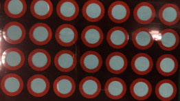 De Film van het waterbewijs PTFE en Nylon of Polyurethaan Netto voor Camera en Haircare-Product